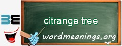 WordMeaning blackboard for citrange tree